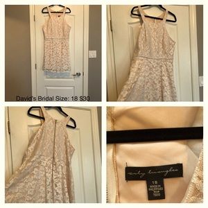 Brand New David’s Bridal: City Triangle Dress (18)